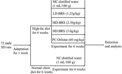 Effects of Banana Resistant Starch on the Biochemical Indexes and Intestinal Flora of Obese Rats Induced by a High-Fat Diet and Their Correlation Analysis